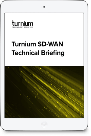 Turnium SD-WAN Technical Briefing